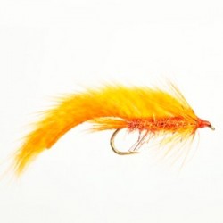 Zonker Orange - 1