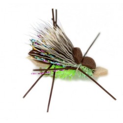 Amy's Ant Lime Green - 1