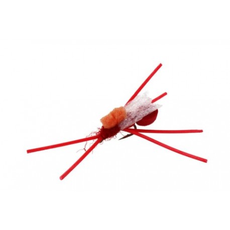 Ant Extended Foam Body - 1