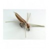 Brown Spider Foam Spider