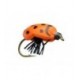 KR Lady Bug - 1