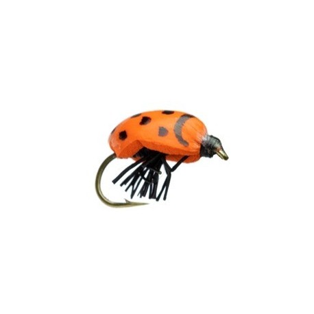 KR Lady Bug - 1