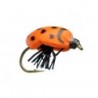 KR Lady Bug