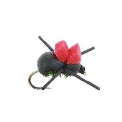 Rainys Foam Beetle - 1