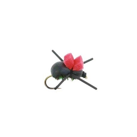 Rainys Foam Beetle - 1