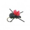 Rainys Foam Beetle