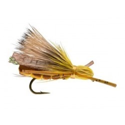 Rogue Foam Stone Golden - 1