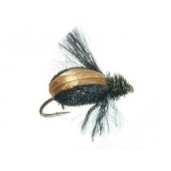 Steeves Japanese Beetle - 1