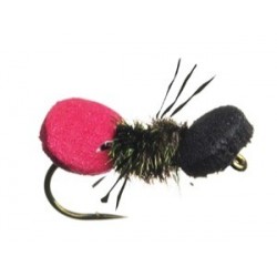 Steves Cow Killer Ant - 1