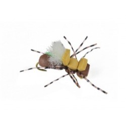 Taylors Fat Albert Tan - 1