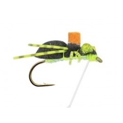 Whits Sponge Spider - 1