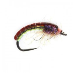 Mirage Czech Nymph Barbless - 1