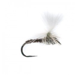 Barbless Universal Dry - 1