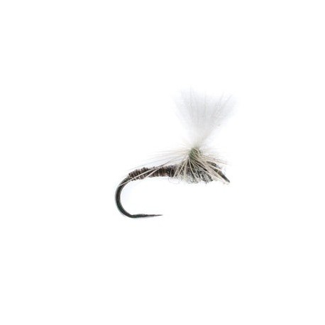 Barbless Universal Dry - 1