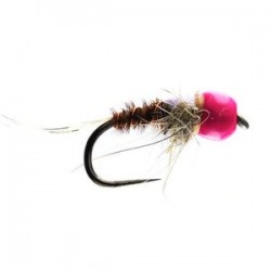 Pimpbug Tungsten Nymph Barbless