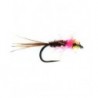 Pink Rapid Pheasant Tail Tungsten Nymph Barbless