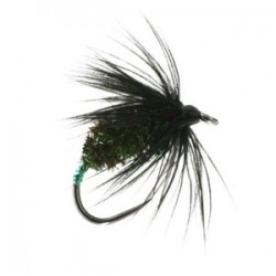 Black & Peacock Spider Barbless - 1