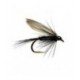 Black Gnat Winged Wet Fly - 1