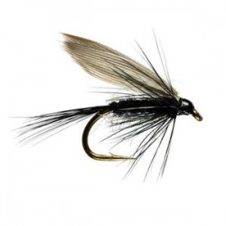 Black Gnat Winged Wet Fly - 1