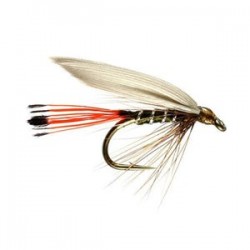 Blue Winged Olive - 1