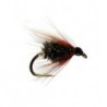 Coachman Winged Wet Fly