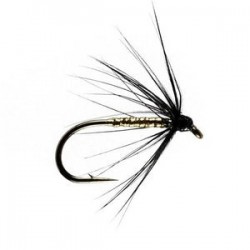 Gold And Black Spider - 1