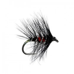 Irish Bibio Hackled Wet Fly - 1