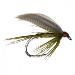 Olive Dun Winged Wet Barbless - 1