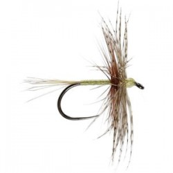 Olive Jingler Barbless - 1