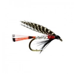 Peter Ross Winged Wet Fly - 1