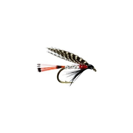 Peter Ross Winged Wet Fly - 1