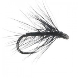 Stewarts Black Spider Barbless - 1