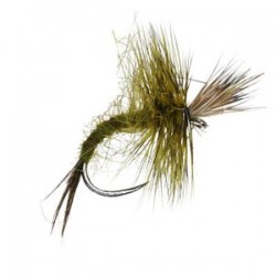 Olive Skater Barbless - 1