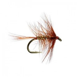 Wickham Spider Hackled Wet Fly - 1