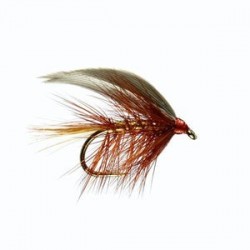 Wickhams Fancy Winged Wet Fly - 1