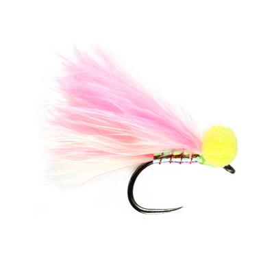 Candyman Booby Barbless