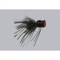 Black Pot Belly Frog