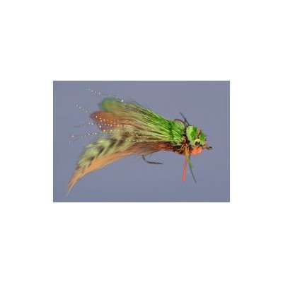 Dave's Diving Frog Orange Belly