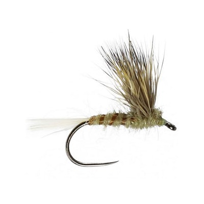 Double Decker Winged Dry