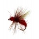 Flying Ant, Red Ant