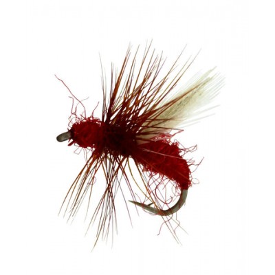 Flying Ant, Red Ant