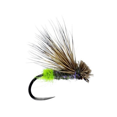 Grannom Caddis