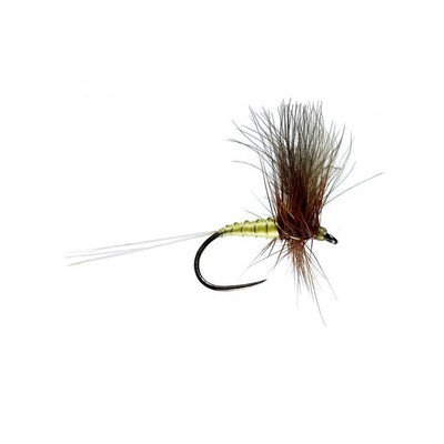 Greenwells Glory Cdc Winged Dry