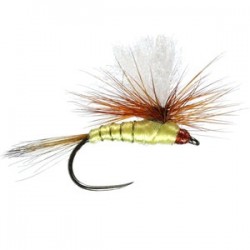 Parachute Greenwells Glory Barbless - 1