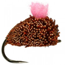 Carp Ginger Dog Biscuit Bl