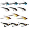 Summer Salmon Flies 2 Collection