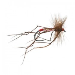 Pearly Daddy Barbless - 1