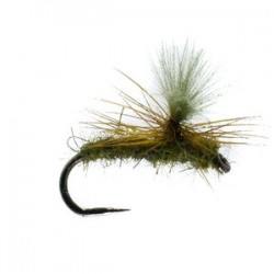 Barbless Universal Olive - 1