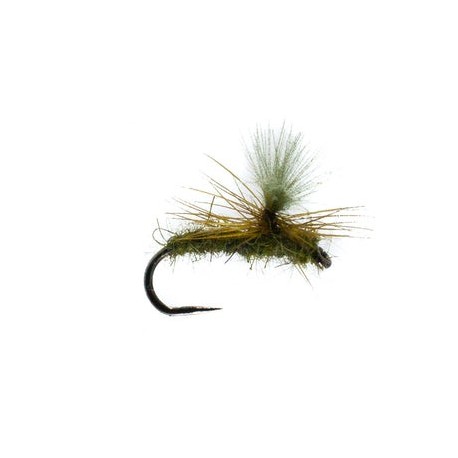 Barbless Universal Olive - 1