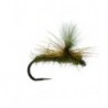 Barbless Universal Olive